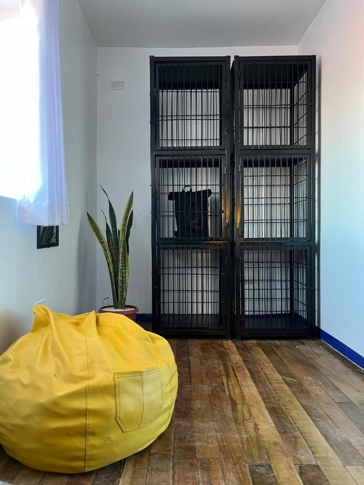 Haku Hostel كوسكو المظهر الخارجي الصورة