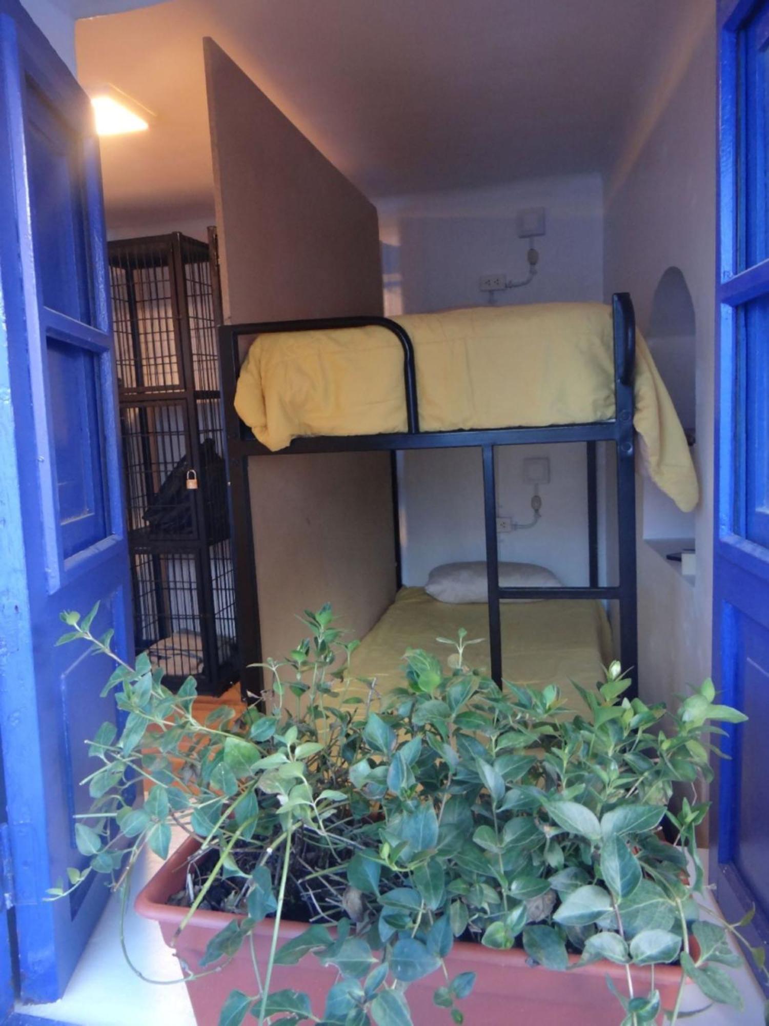 Haku Hostel كوسكو المظهر الخارجي الصورة