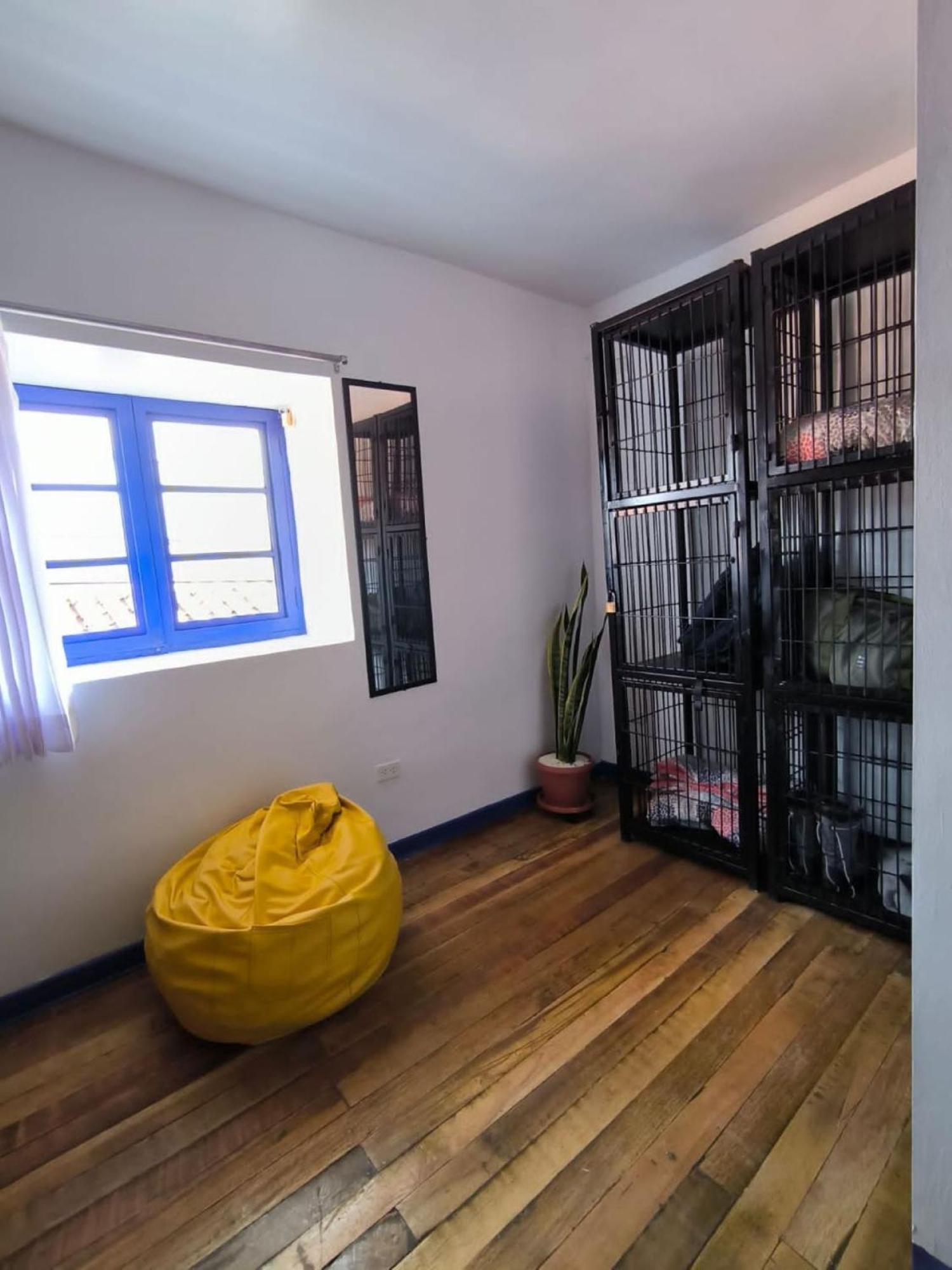 Haku Hostel كوسكو المظهر الخارجي الصورة